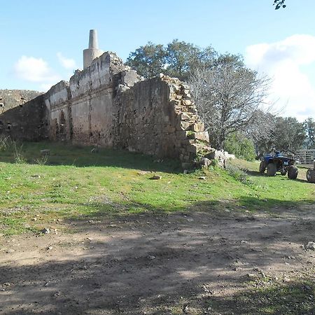 Villa Monte Do Brejinho De Agua Carvalhal  Exterior foto